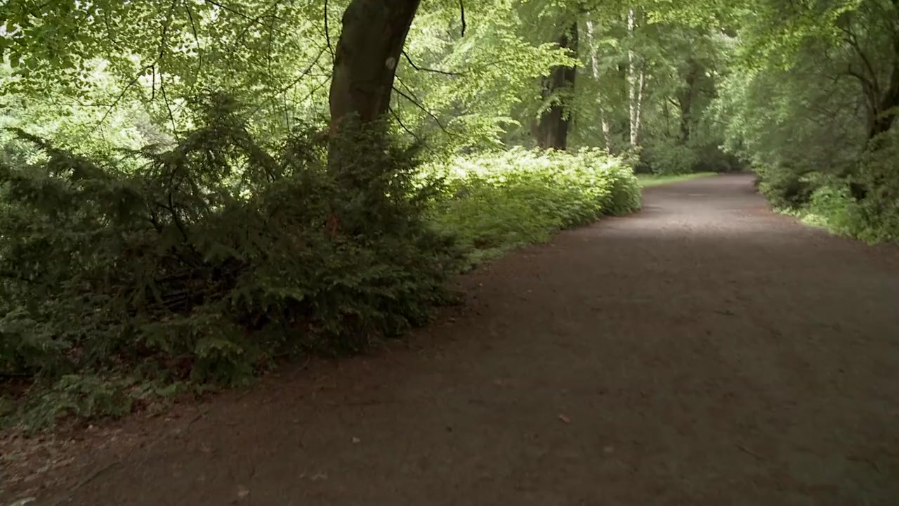 Die Jungs vom Bahnhof Zoo screenshot 1