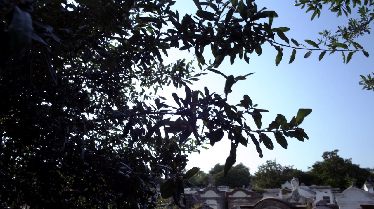 Repentance screenshot 1