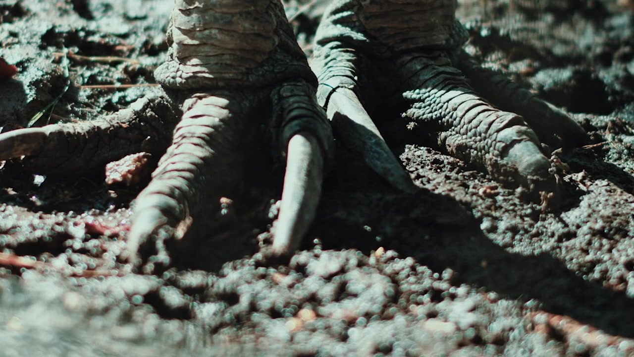 Reptilians screenshot 2