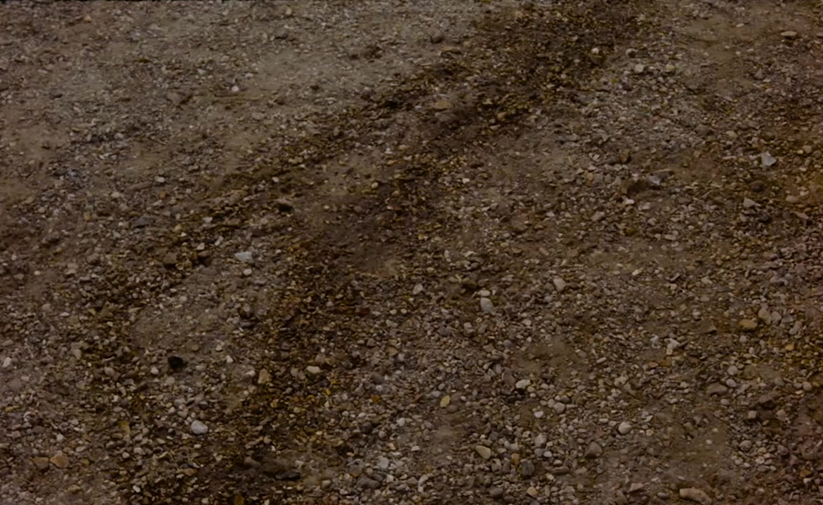 Requiem pour un vampire screenshot 2