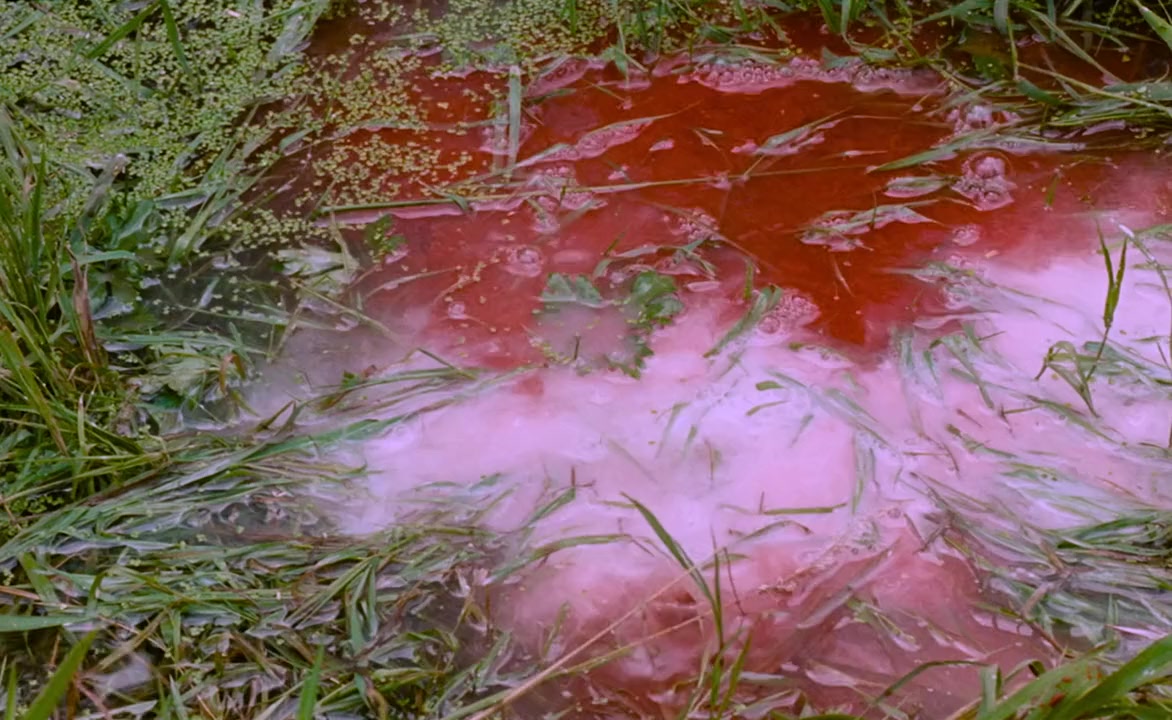 Requiem pour un vampire screenshot 3