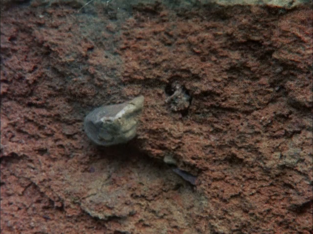 Requiem for a Village screenshot 3