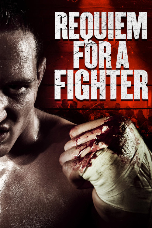 Requiem for a Fighter (2018) poster