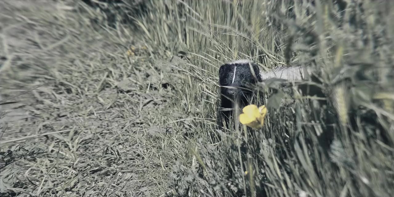 Rescued by Ruby screenshot 2