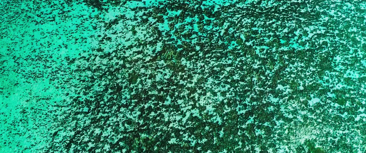 Reset screenshot 1