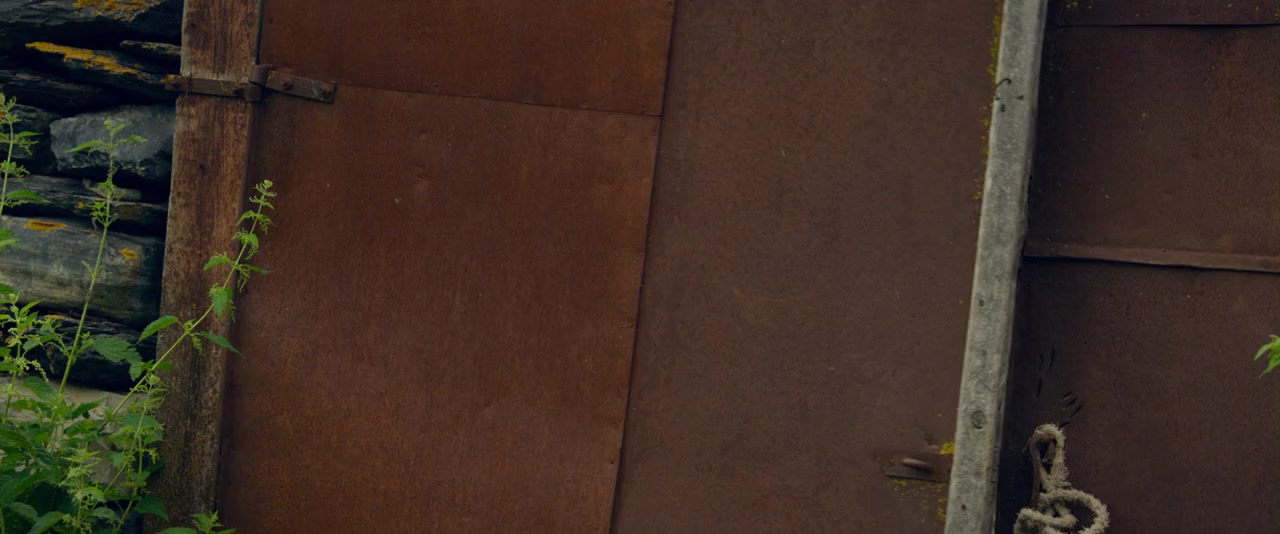 Reshenie o likvidatsii screenshot 3