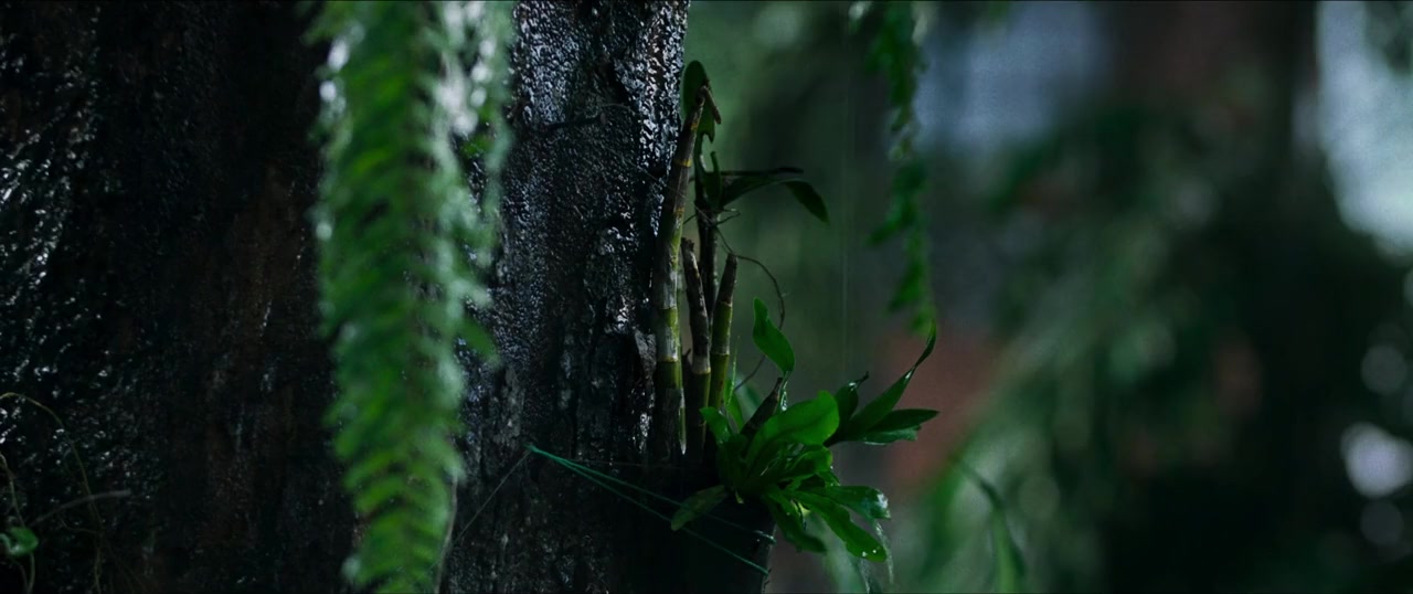 Singsu screenshot 1