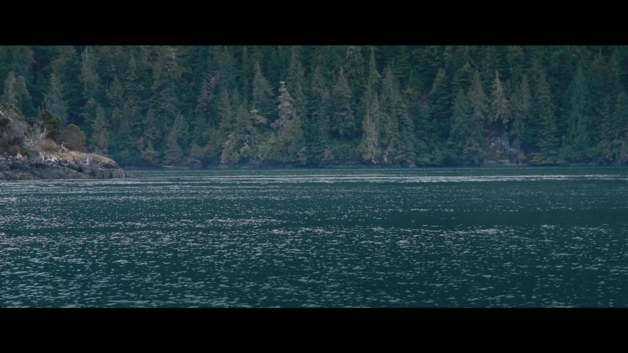 Resident Orca screenshot 1