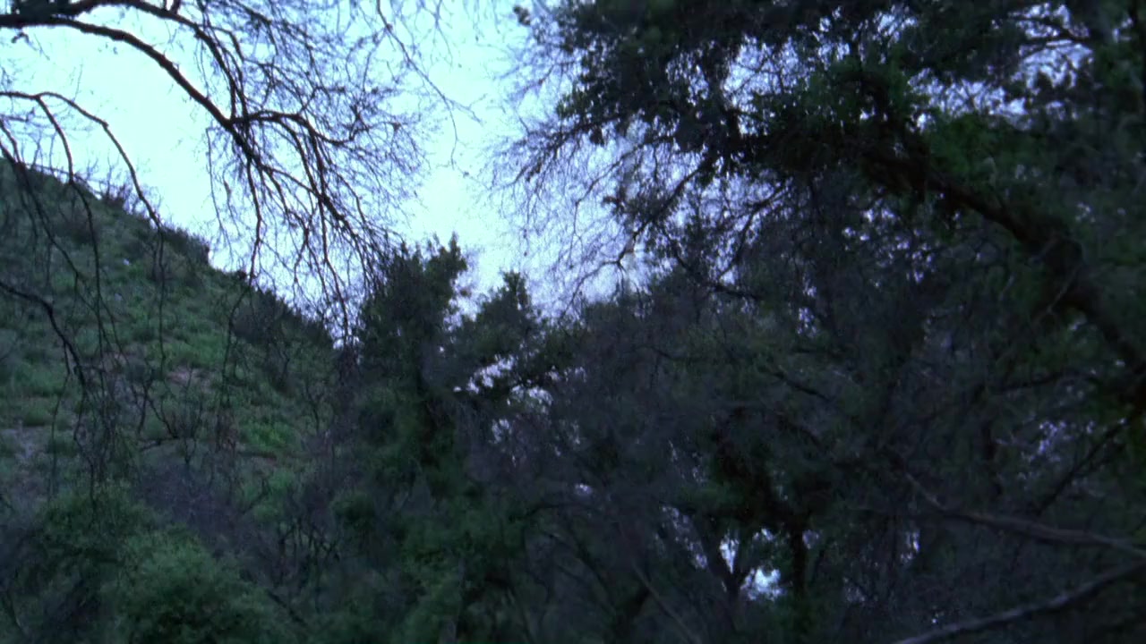 Rest Stop screenshot 1