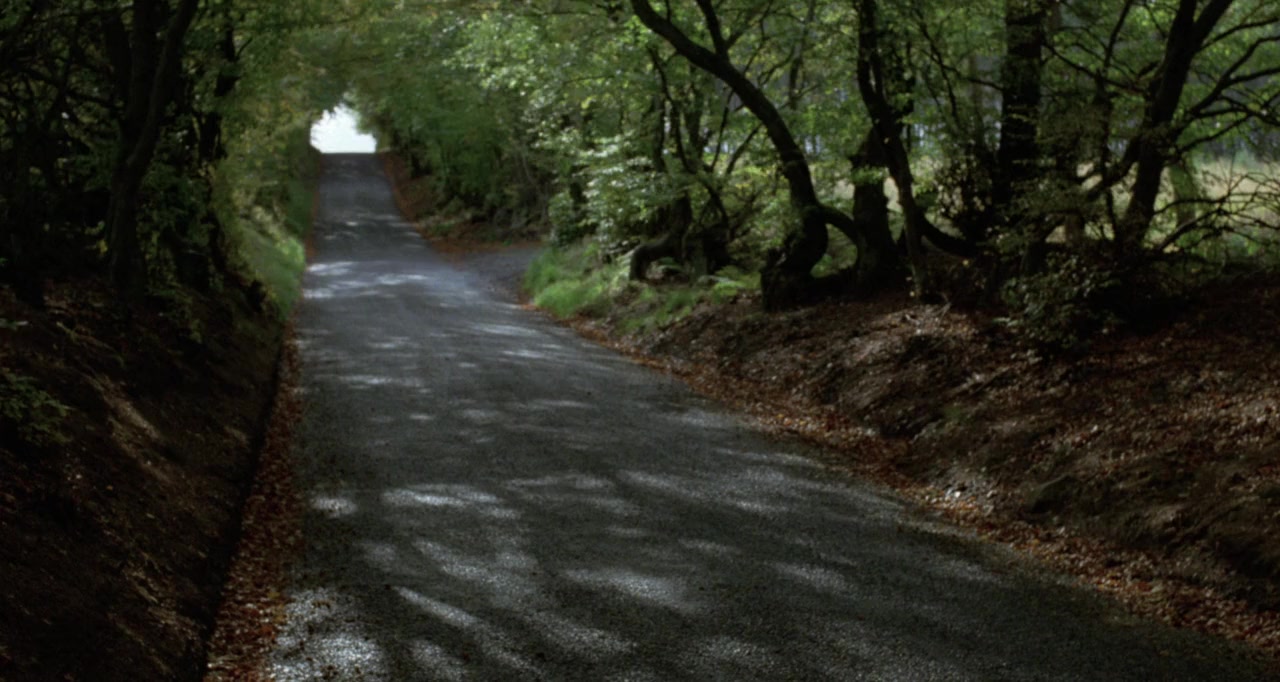 Restless Natives screenshot 2