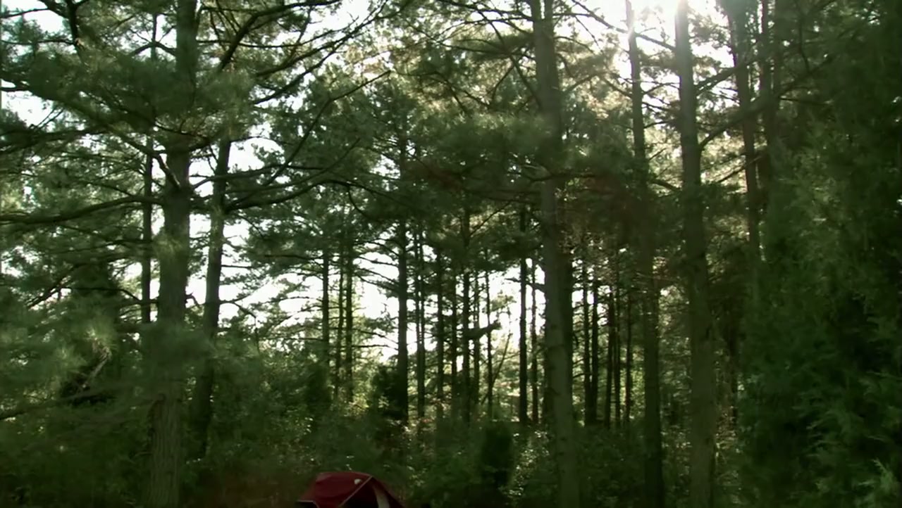 Resurrection County screenshot 1