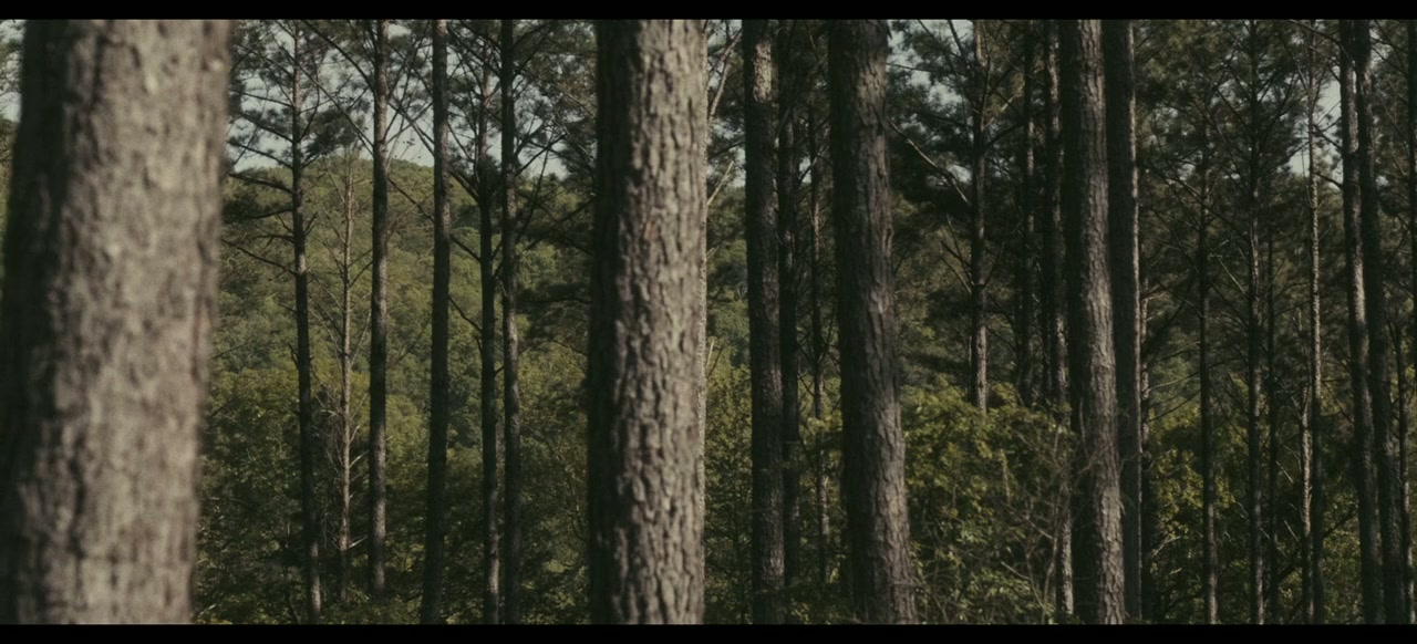 Resurrection Road screenshot 1