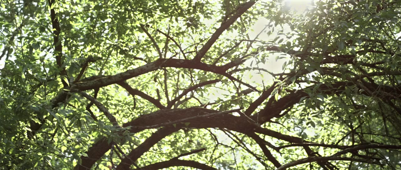 Rites of Spring screenshot 1
