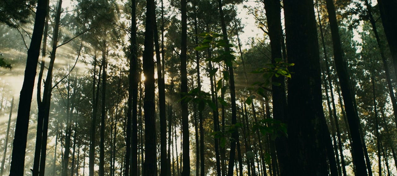 Modus Anomali screenshot 1