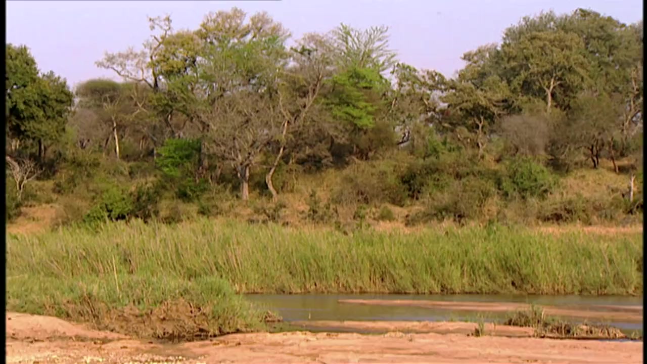 Rivers of Danger screenshot 2