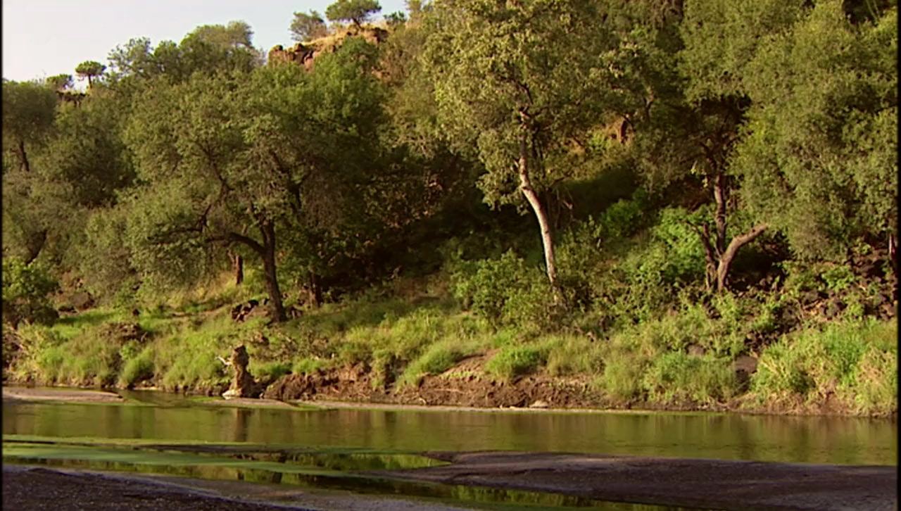 Rivers of Giants screenshot 1