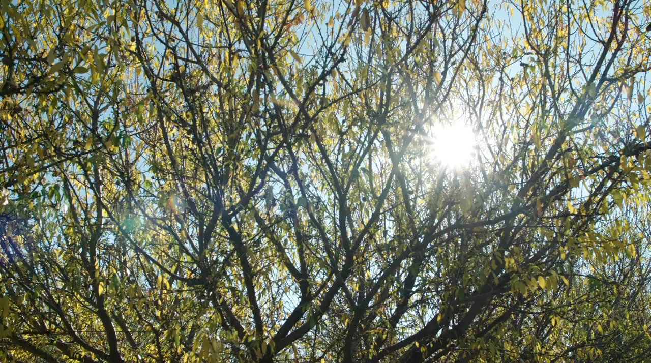 River's End: California's Latest Water War screenshot 1