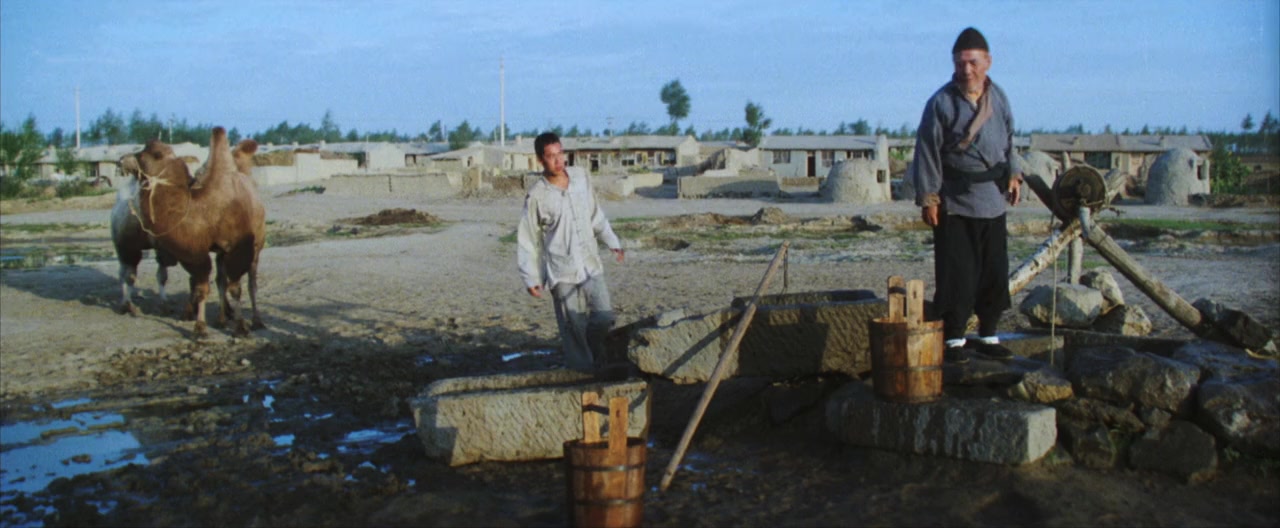 Luo tuo Xiang Zi screenshot 2
