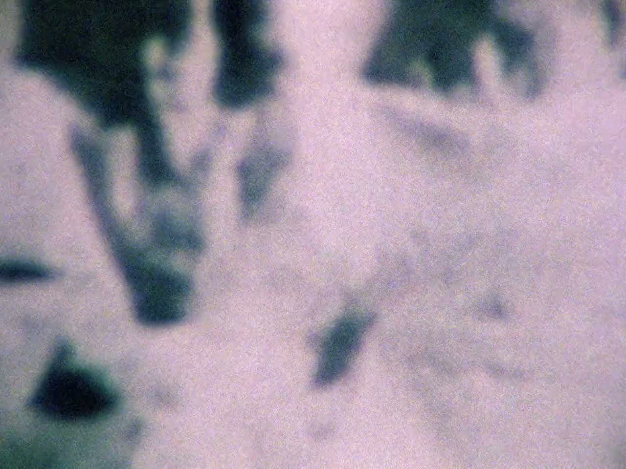 Riddles of the Sphinx screenshot 2