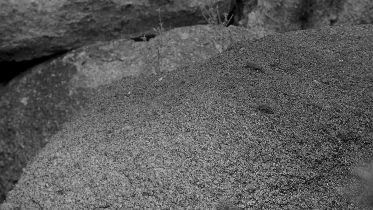 Rider on a Dead Horse screenshot 2