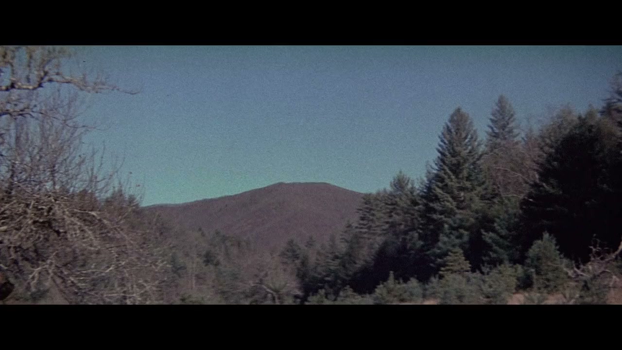 RiffTrax: Grizzly screenshot 3
