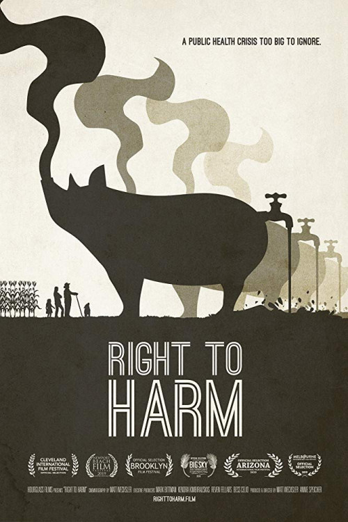Right to Harm (2019) poster