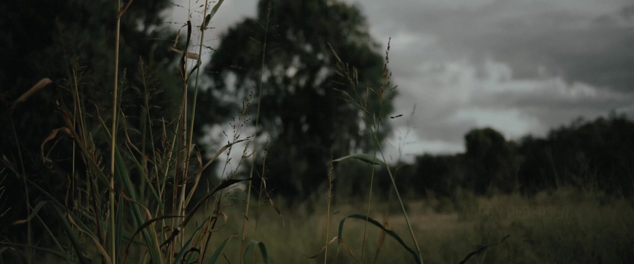 The Red screenshot 2