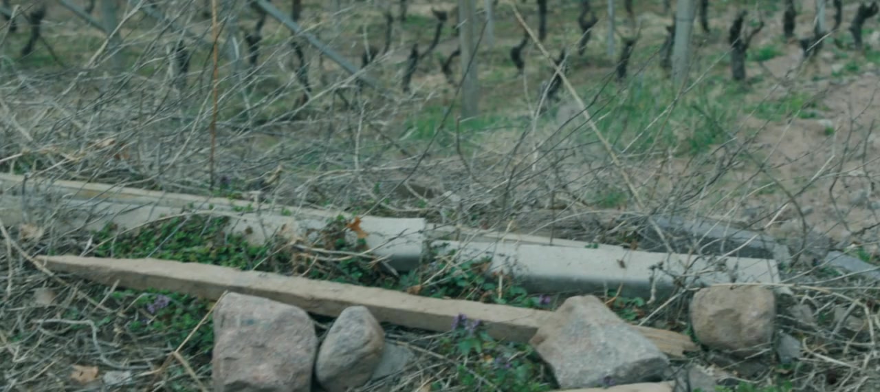 Rispet screenshot 1