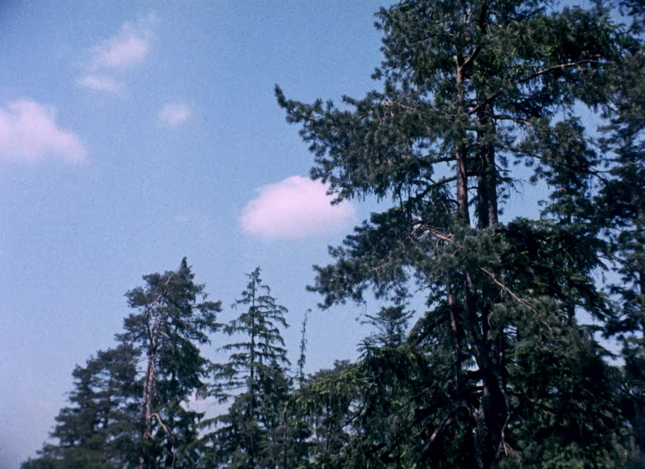 Rübezahl - Herr der Berge screenshot 2
