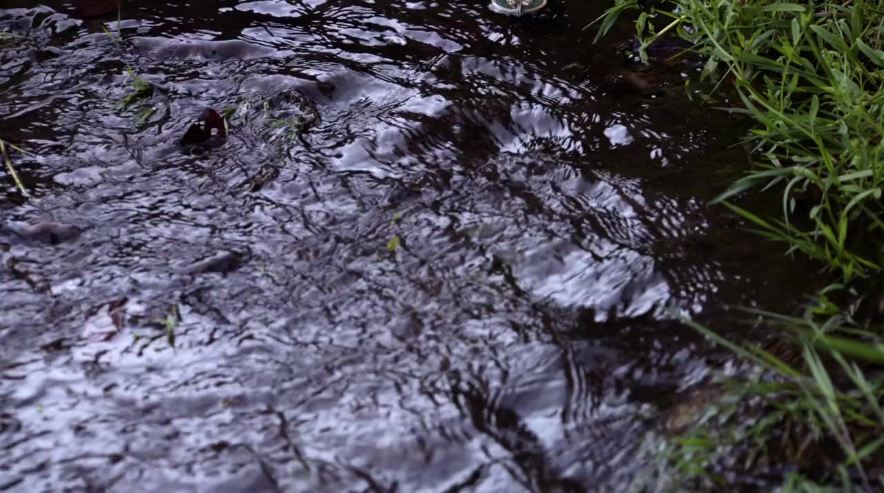 Rufus screenshot 1
