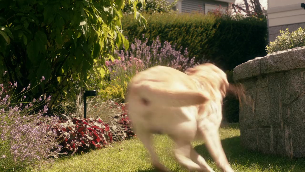 Rufus 2 screenshot 2