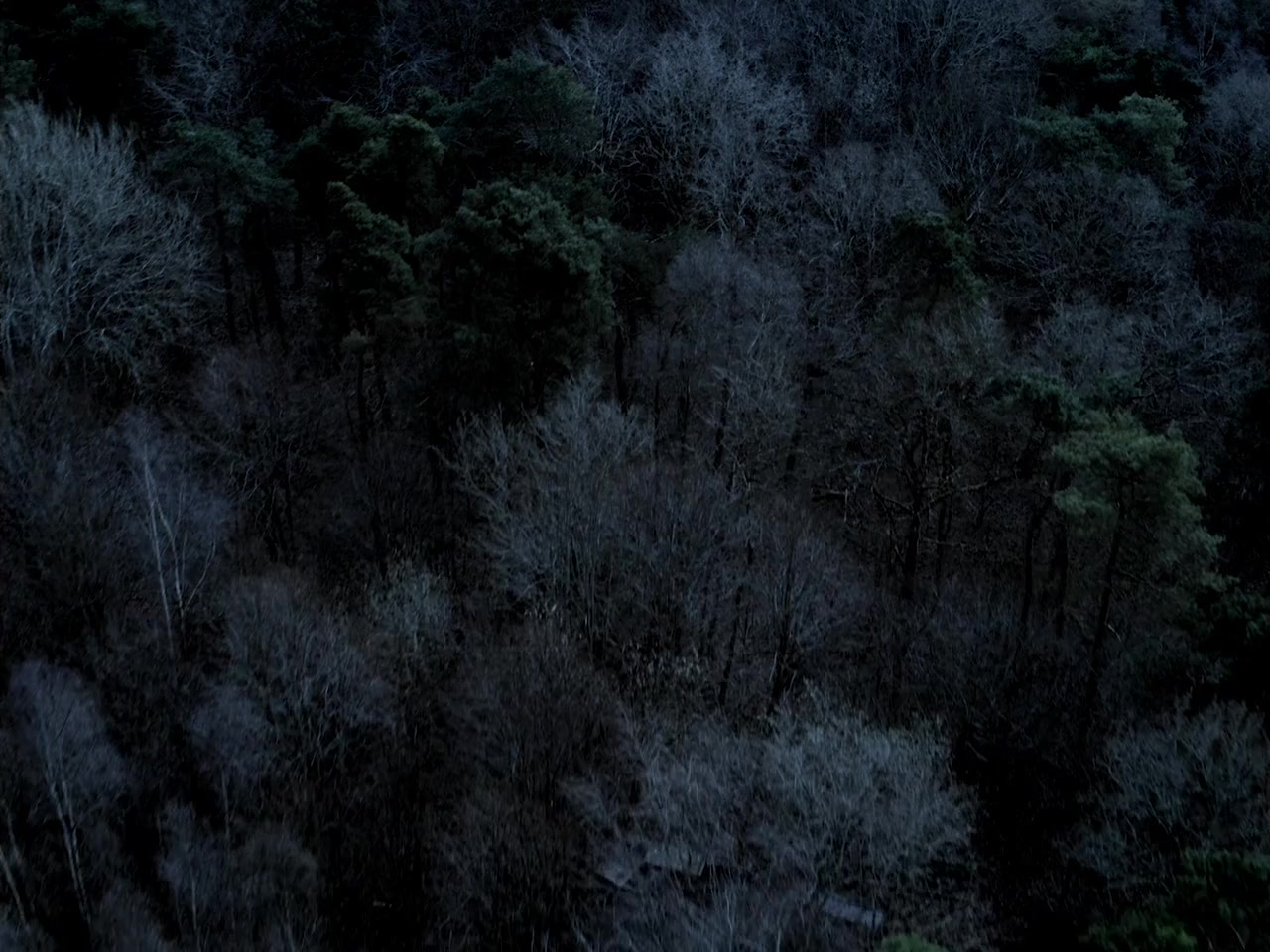Rumpelstiltskin screenshot 1