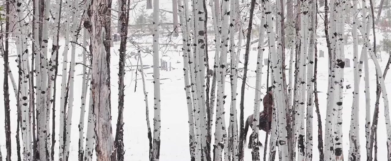 Run for the High Country screenshot 1