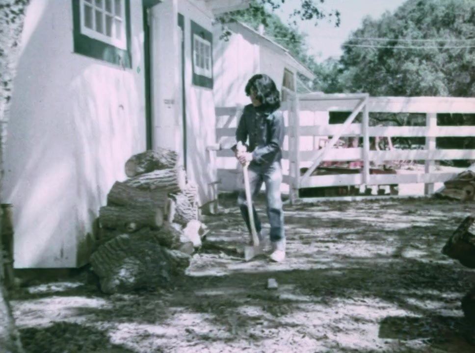 Run for the Roses screenshot 1