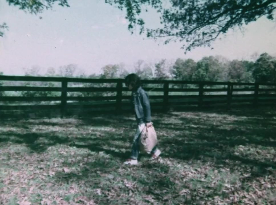 Run for the Roses screenshot 2