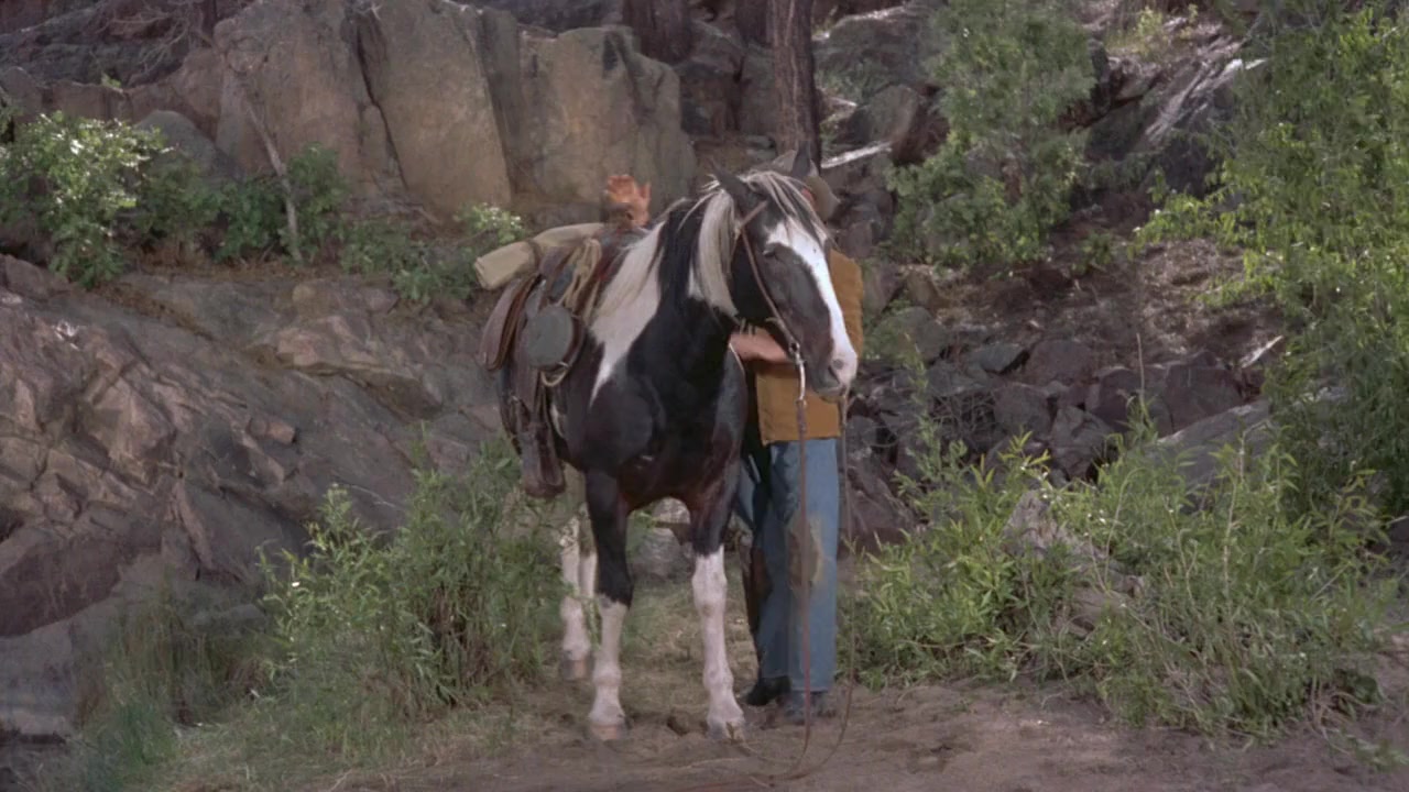 Run for Cover screenshot 3