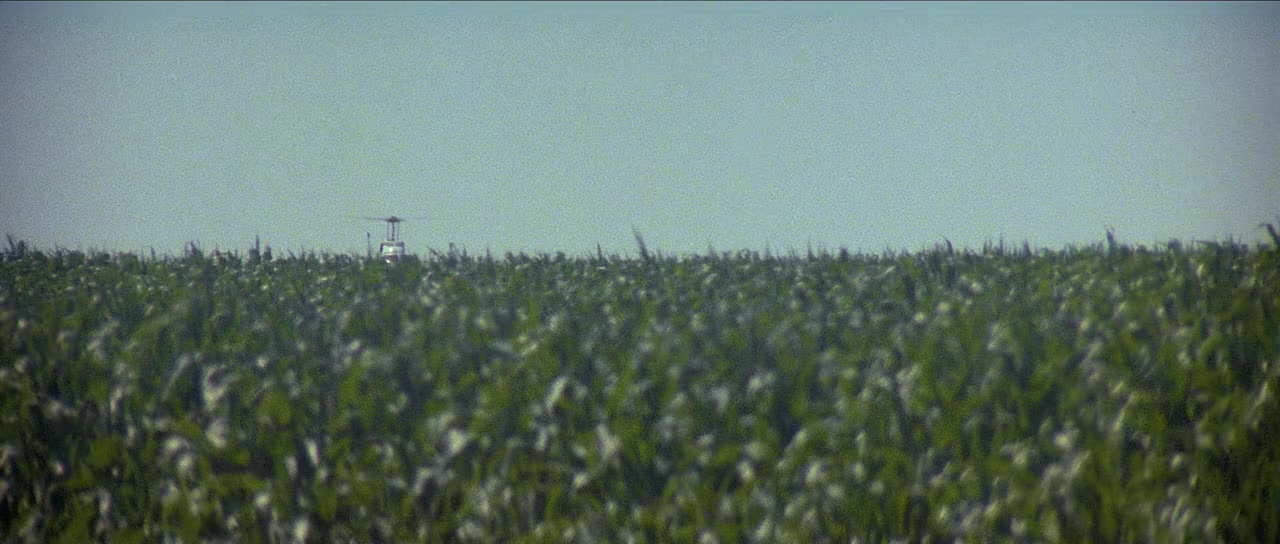 Runaway screenshot 3