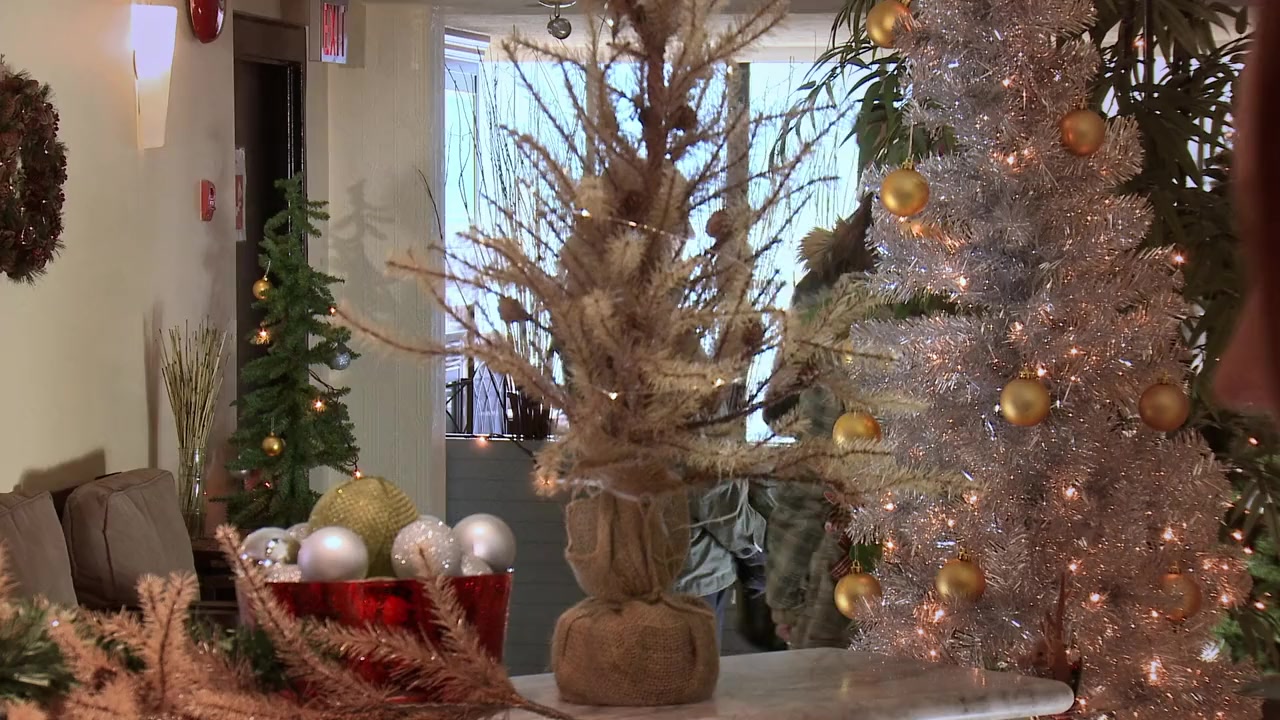Runaway Christmas Bride screenshot 2