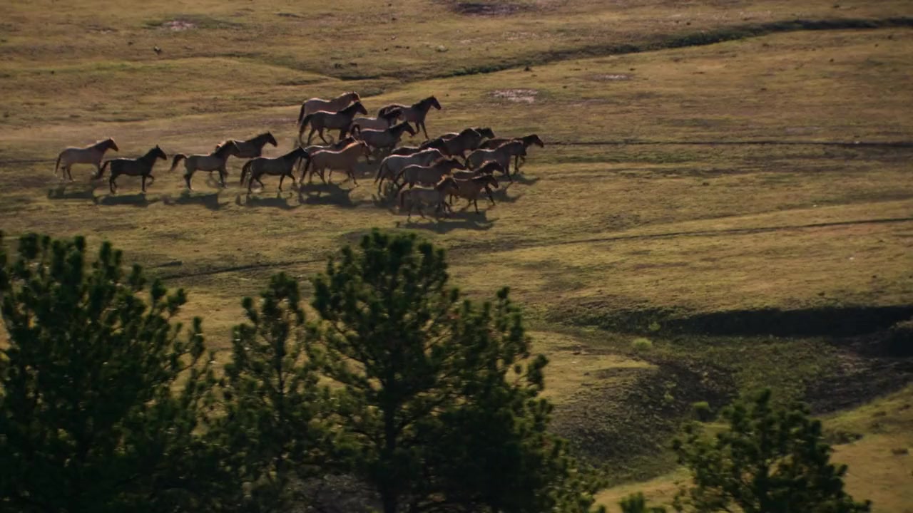 Running Wild: The Life of Dayton O. Hyde screenshot 3