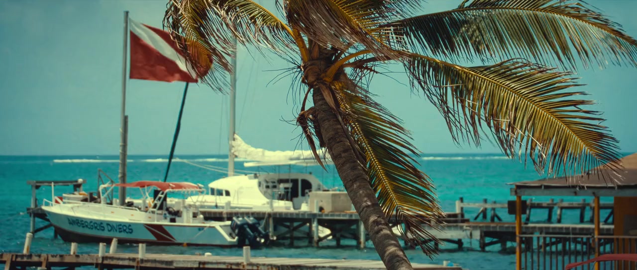 Running with the Devil: The Wild World of John McAfee screenshot 1