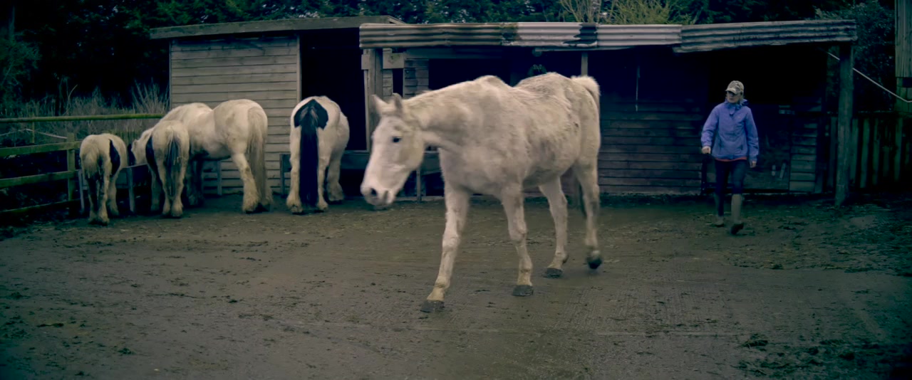 Running for Good: The Fiona Oakes Documentary screenshot 2