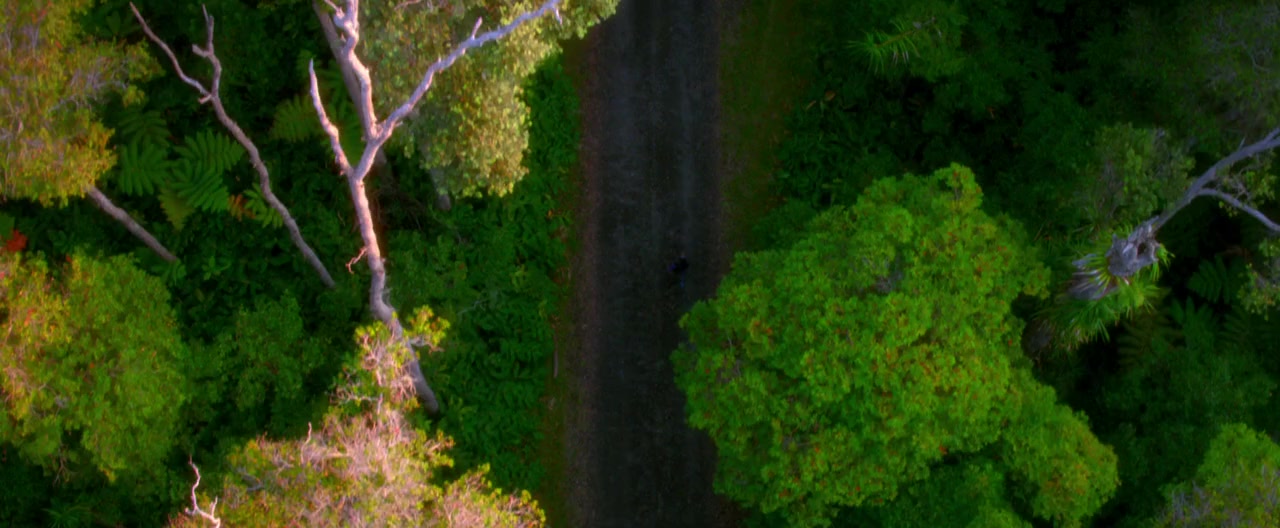 Running for Grace screenshot 2