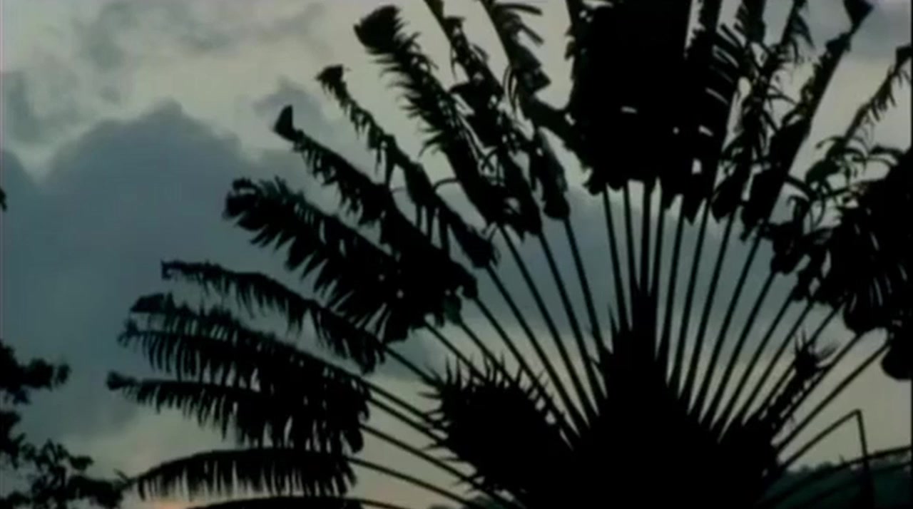 Runt screenshot 1