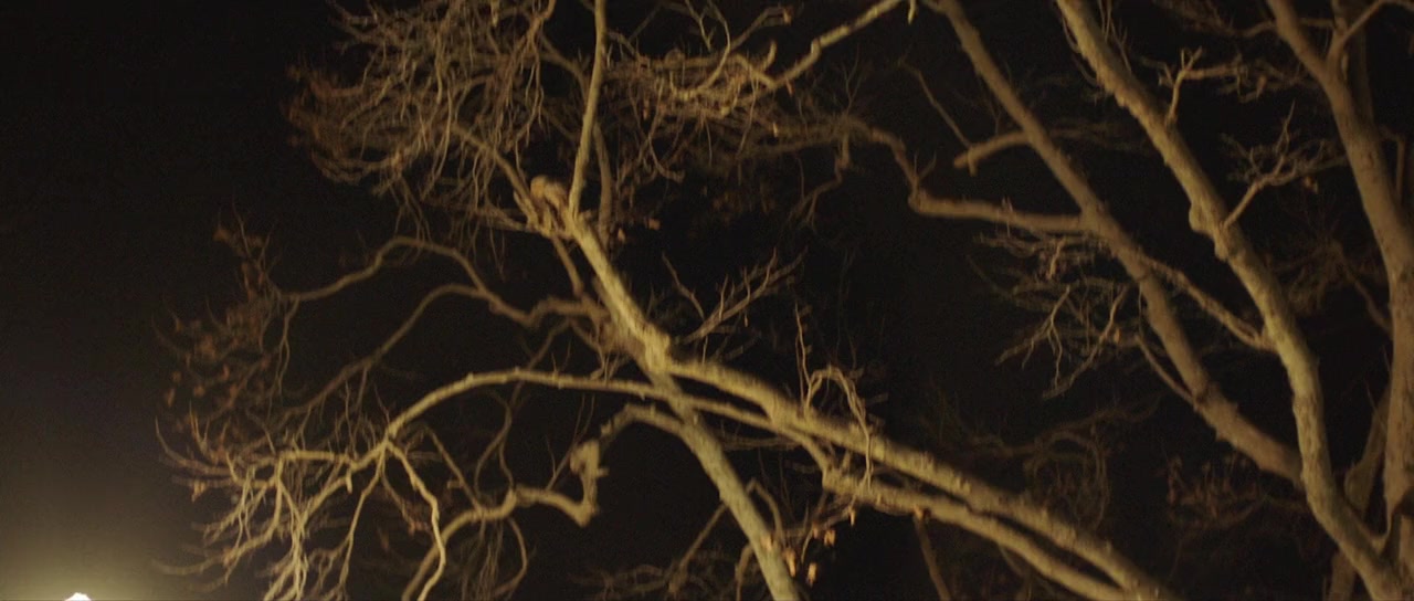 Ryde screenshot 3