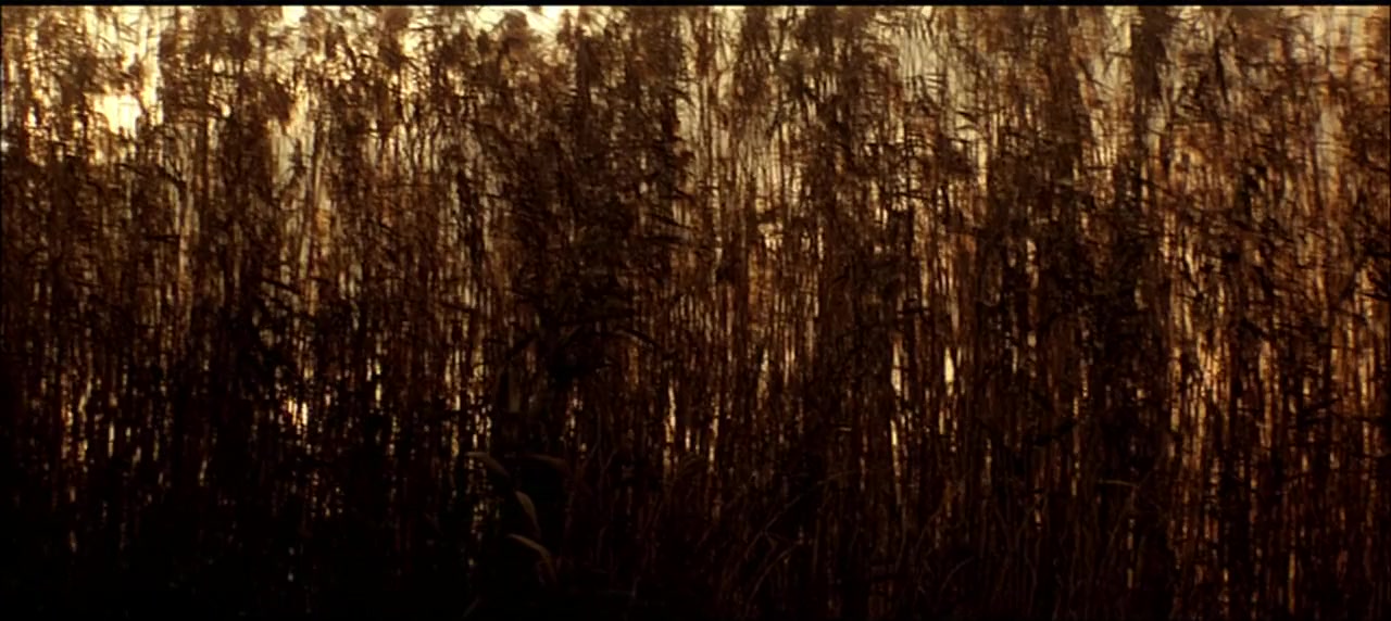 Ryna screenshot 3