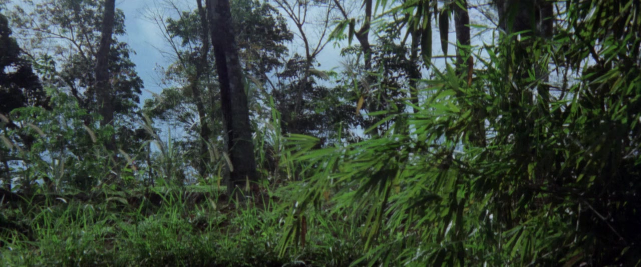 Srigala screenshot 1