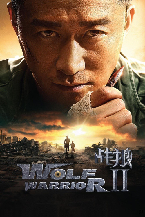 Zhan lang II (2017) poster