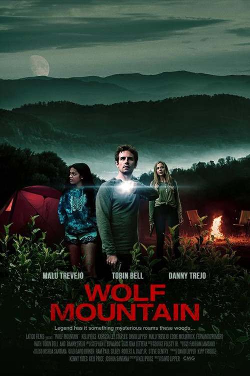 Wolf Mountain (2022) poster