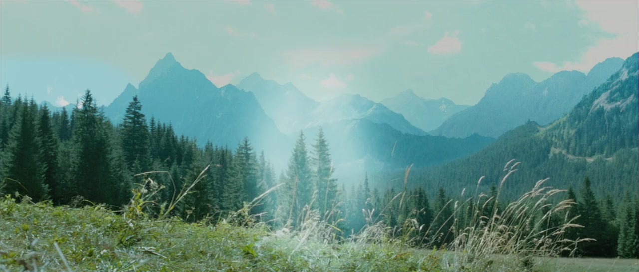 Volkodav iz roda Serykh Psov screenshot 3