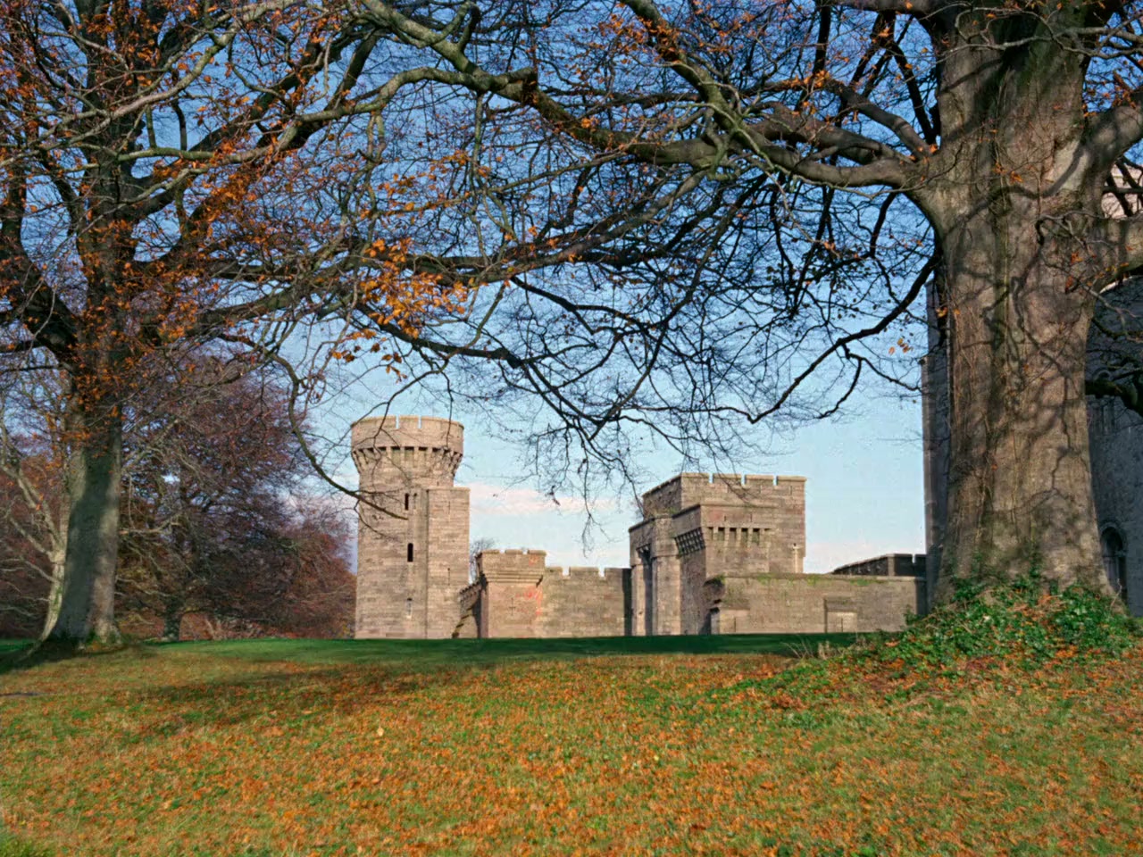 Wolfshead: The Legend of Robin Hood screenshot 1